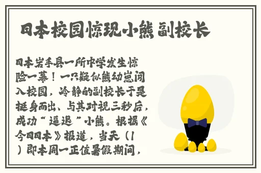 欧VODAFONEWIFI18